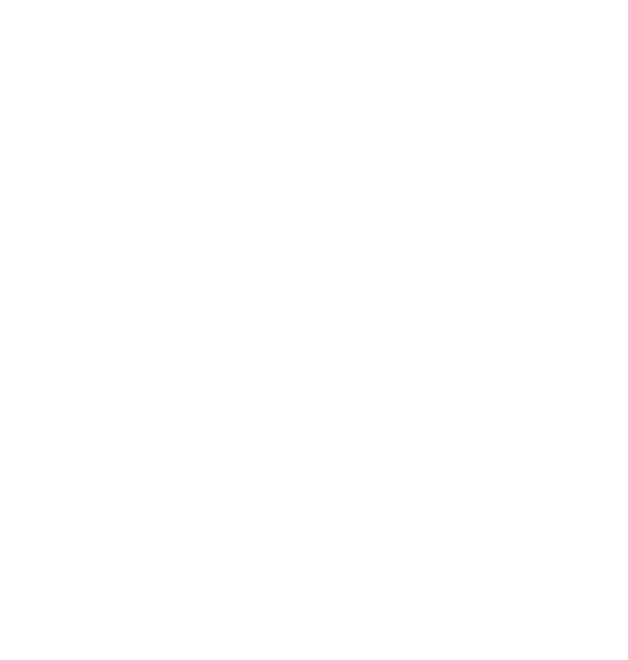 RGV Cyber Logo